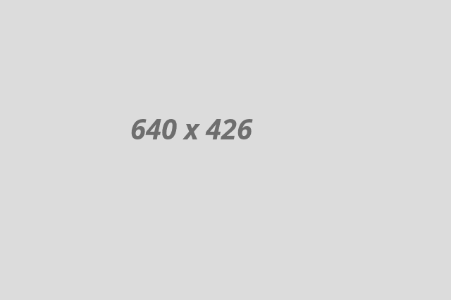 banner-img1